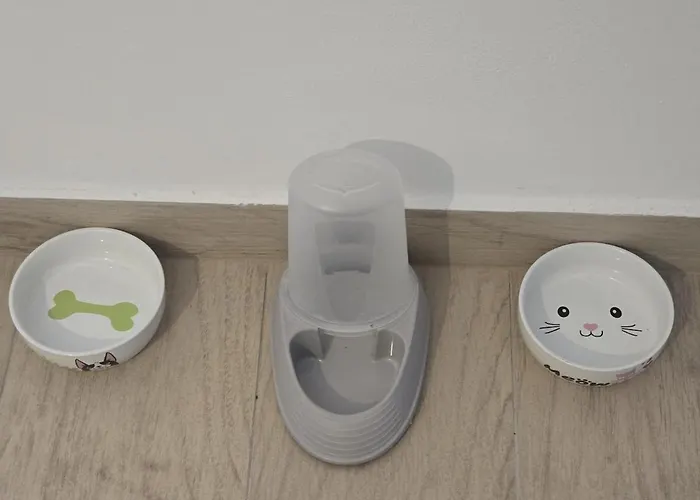 Апартаменты Amelia *