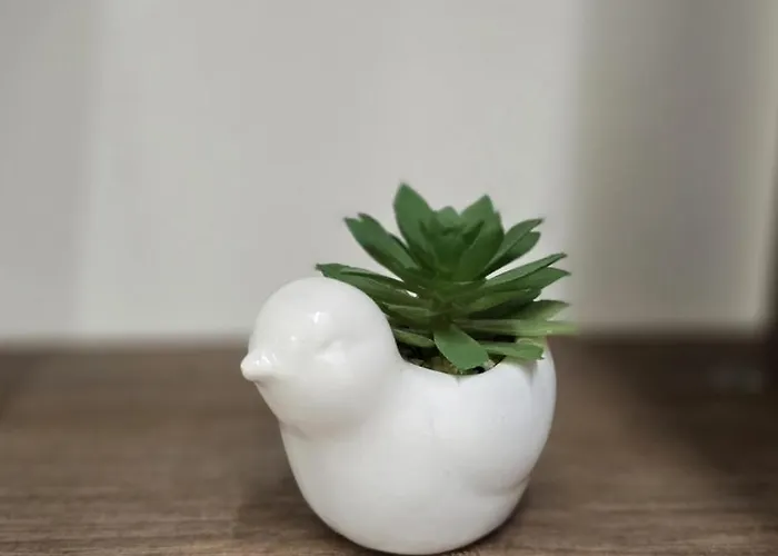 Amelia Апартаменты